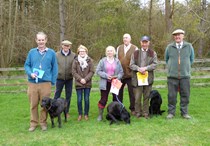 Veteran at Harecramp Estate - 12 April 2015