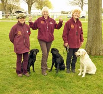 East Anglian Game Fair 2015