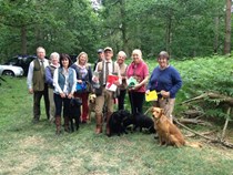 Novice at Portman Estate - 21 June 2015