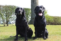 Training and Informal Match at Twigmoor Woods, Scawby on Sunday 12 February 2017