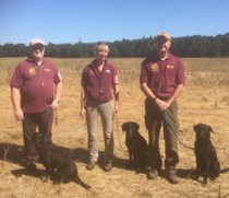 Southern Inter Club 2017