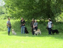 Working Test Training Day- 2nd July , Bosco Camp-Aldham