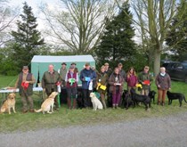 Special Puppy/Novice/Veteran Working Test - April 9th