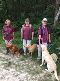 Southern Counties Inter Club 2019