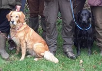 Working Test Training Day at Newton by Toft on Saturday 6 July 2019