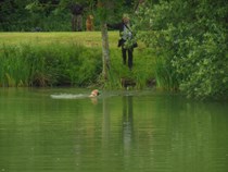 Auberies Training day