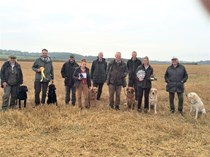 Open Cold Game Working Test