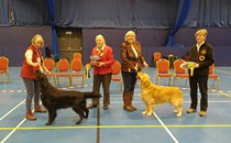 Autumn Open Show  20th October