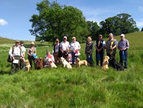 Special Puppy/ Novice/ Veteran Working Test 22nd May 2022