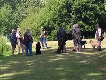 Working Test Training Morning  19th June at Auberies