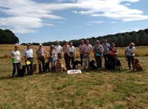 Special Puppy/ Novice/ Veteran Working Test 24th July 2022