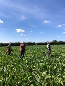 Sugar beet training 7th August