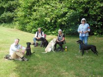 Working Test Training Morning  18th June at Auberies