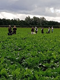 Sugar Beet Training 13th August