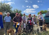 Novice Walked Up on field trial lines July 2023