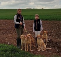 Puppy, Special Puppy, Junior Handler and Novice Dog Novice Handler Working Test April 2023