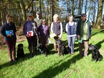 Intermediate at Portman Burtley - 13 April 2014