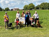 Intermediate and Veteran - June 2025