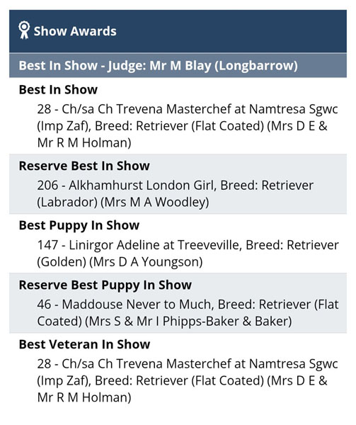 Screenshot 20250213 090848 Chrome